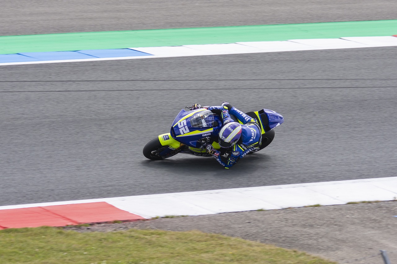 郑钦文意识 郑钦文意识